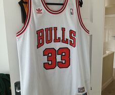 Chicago Bulls Nba Basketballl Pippen