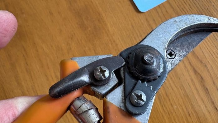 Secateurs