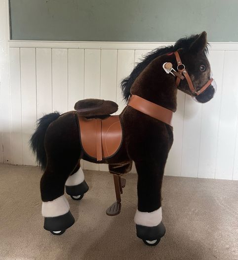 pony cycle
