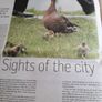 'Wild Ireland' 2010 report Image 4