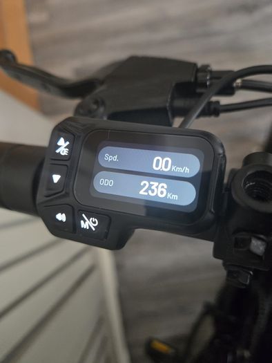 Fiido D3 Pro Mini Electric Bicycle