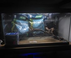 55L Aquarium