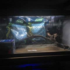 55L Aquarium