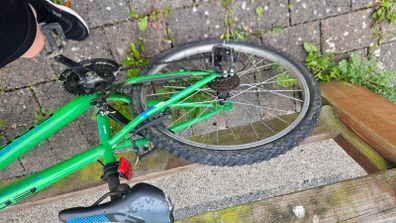 Bike for sale, some TLC