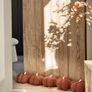 Draught Excluder Image 3