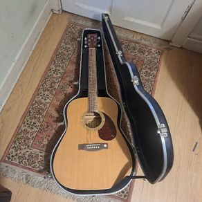 Tenson Dreadnought guitar