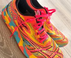 ASICS noosa tri 15