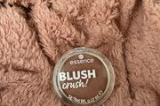 essence BLUSH crush! Powder Blush Shade 10 Caramel Latte (Swatched Once)