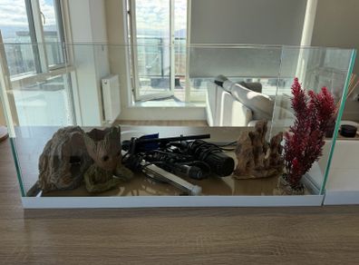 aquarium