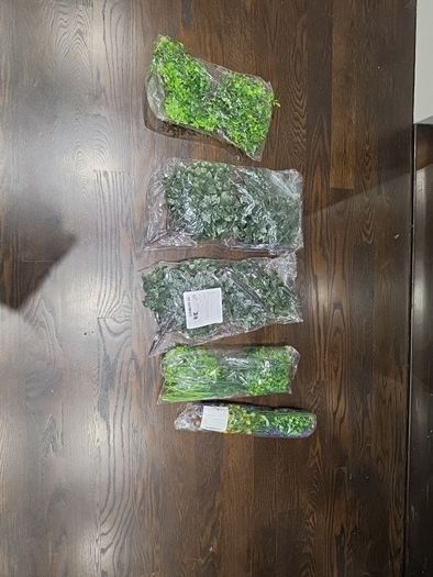 Artificial Plants