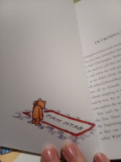Winnie the Pooh by A A Milne with decorations by E H Shepard