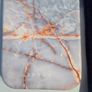 Burg hard shell case for iPhone 16 pro Image 4