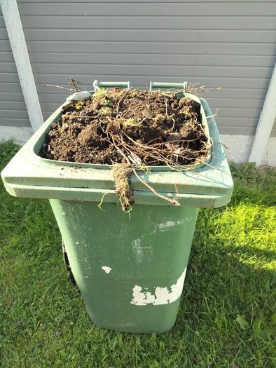Topsoil