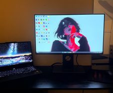 monitor