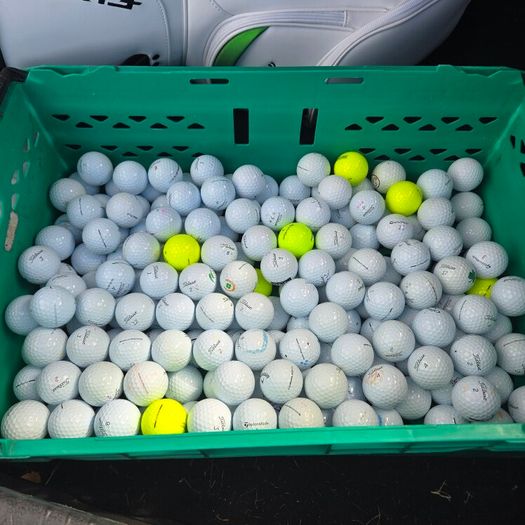 Titleist Pro V 1's