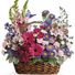 basketful of dreams