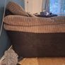 3 seater sofa + swivel chair Image 5