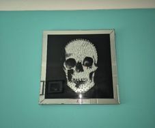 skull mirror picture