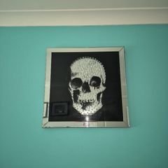 skull mirror picture