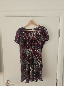 Vintage Style Sheer Dress