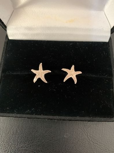 Sterling Silver Earring