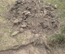 Soil