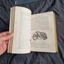 Wood's Natural History, 1893 ed. Incredible Condition. Image 7