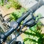 Trek bike Image 2