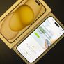 iPhone 15 Plus, 128GB, Yellow, Unlocked Image 6