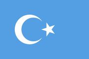 East Turkestan flag 5 x 3 foot