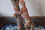 The Juliana Collection Two Leopards on a Plinth