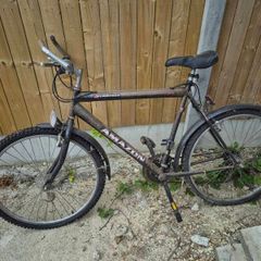 3 bikes