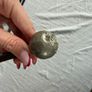WW1 Royal Irish Rifles Officer's Swagger Stick Image 3