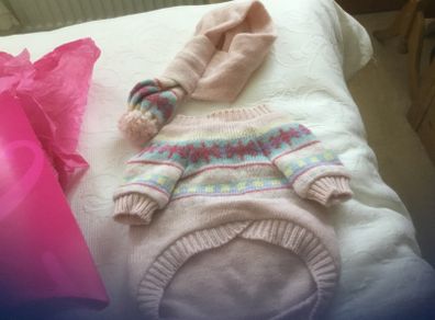 Accessorize dog jumper and scarf
