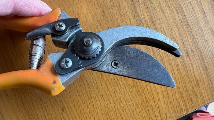 Secateurs