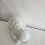 Ikea Snuttig Polar Bear Soft Toy Plush Image 5