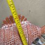 ceramic fish Image 6