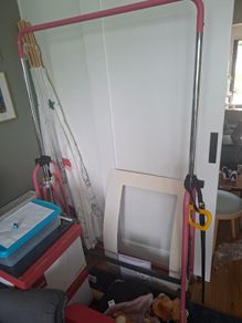 Gymnastics Bars pink