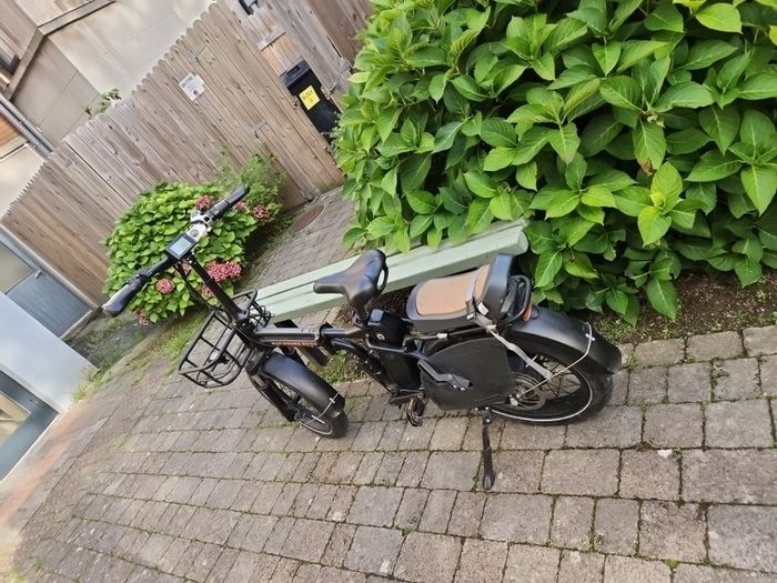 Ebikes-Rad Power