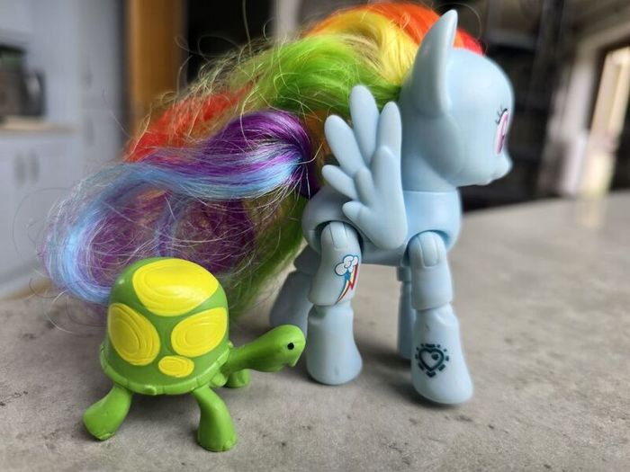 Articulated Joints Rainbow Dash with Pet Turtle Tortoise MLP G4 My Little Pony