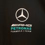 Mercedes F1 Track Top Image 4