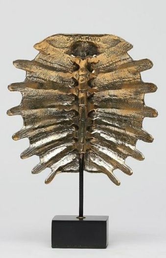 Turtle Shell - Polished Bronze, Signed