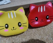 kitty bag