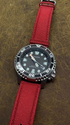 Citizen Promaster Eco Drive Watch