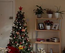 Christmas tree