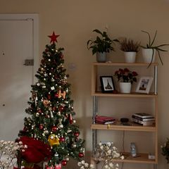 Christmas tree