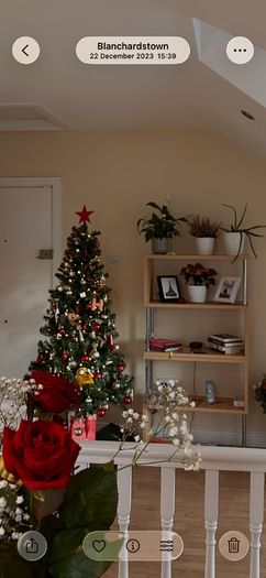 Christmas tree