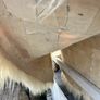 sheepskin throw Image 5