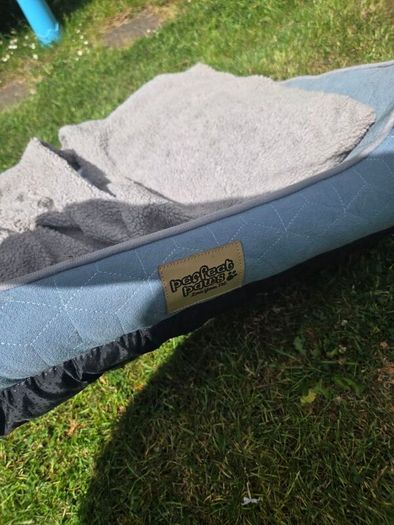 Dog Bed