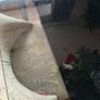dining table Image 4